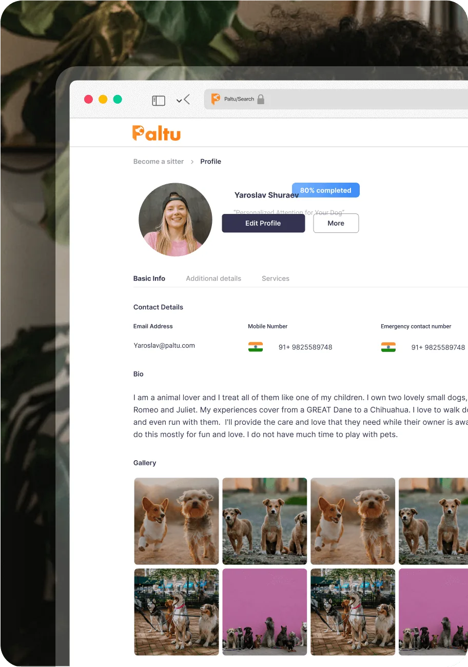 Paltu profile page on web